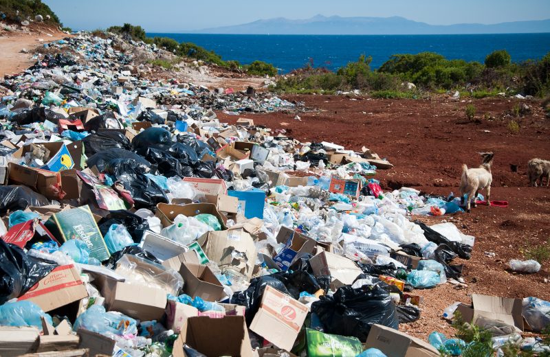 Ever wondered how a landfill works? This article guides you through the process - step by step. Click to discover more.